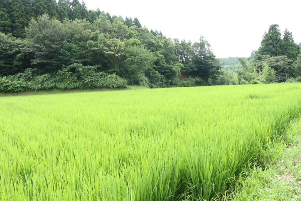 Minshuku Shiroyama Hotel Taketa Luaran gambar